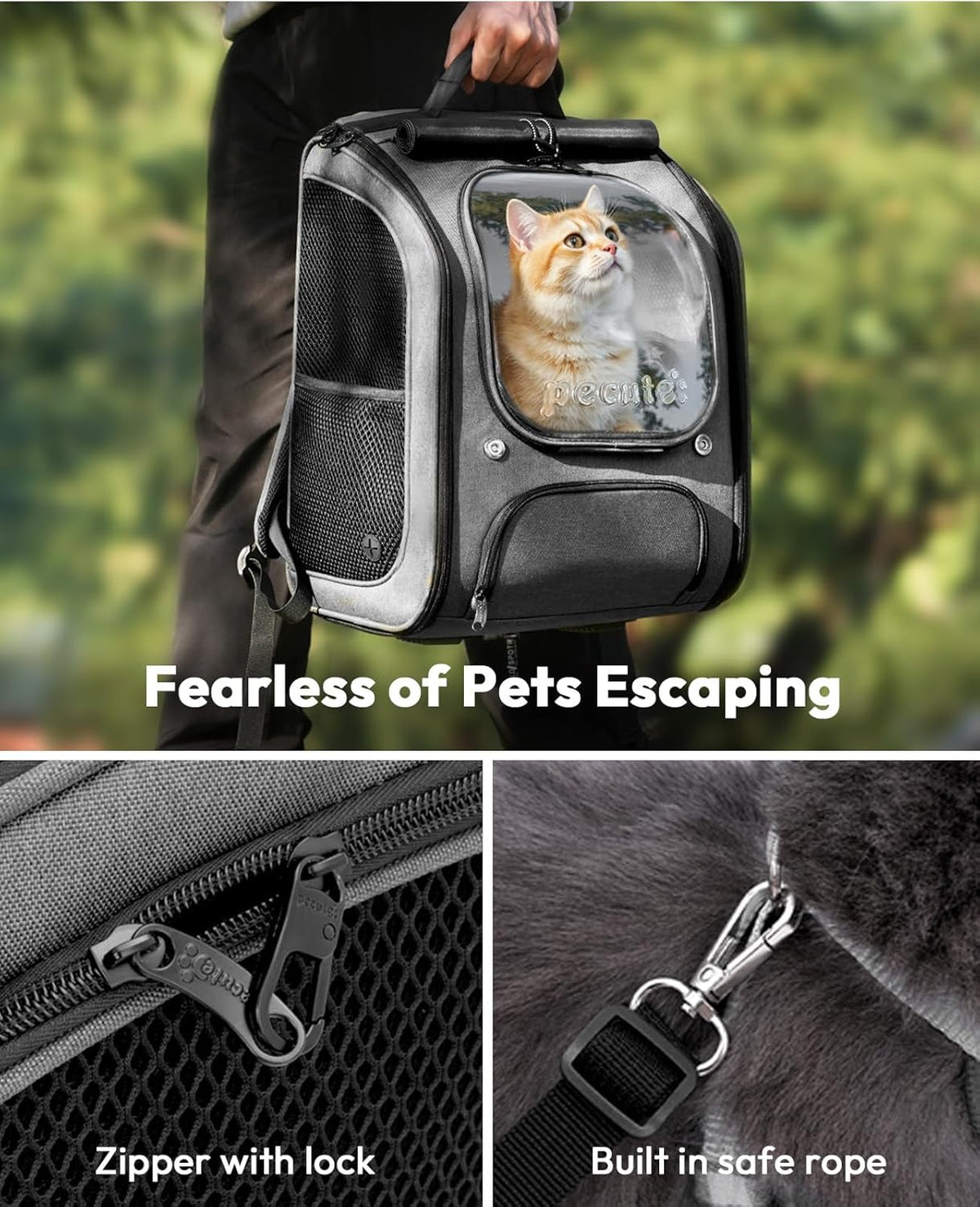 Cat Backpack+Cat Purse