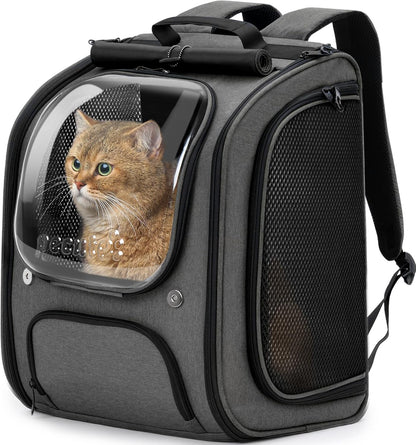 Cat Backpack+Cat Purse