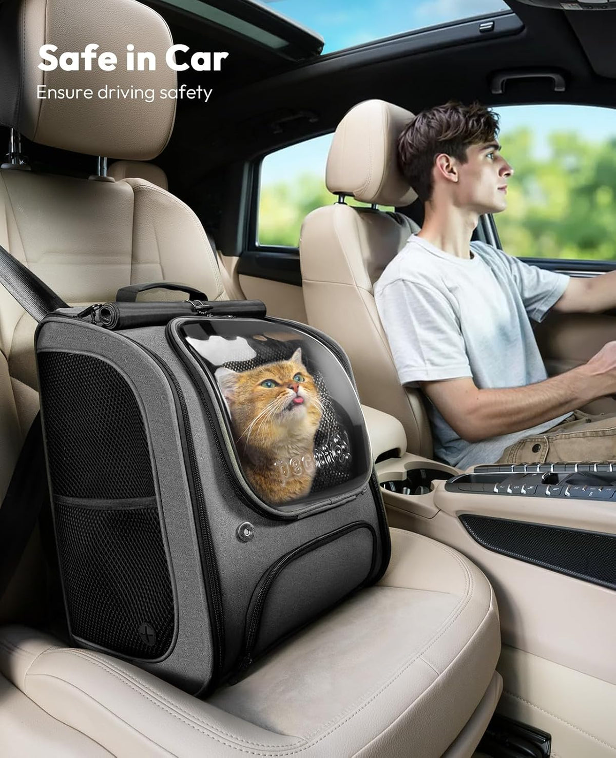 Cat Backpack+Cat Purse