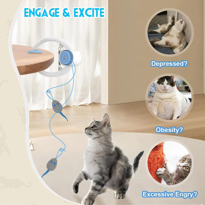 Automated Bouncing Cat Toy with Swing Sticky Disc and Long Teasing Rope - Ideal for Kittens and Cats