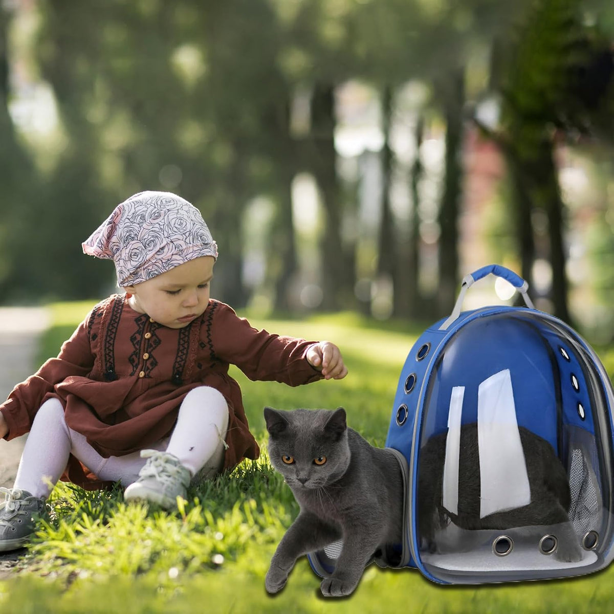 Bubble Carrier Bag for Small Pets, Airline Approved, Travel Carrier, Outdoor Use 